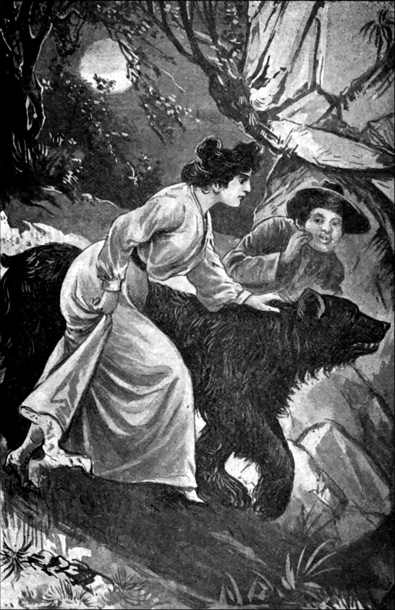 Illustration
