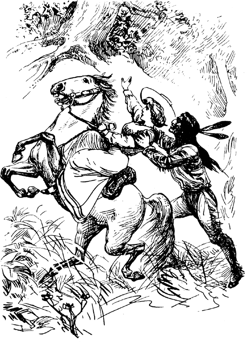 Illustration