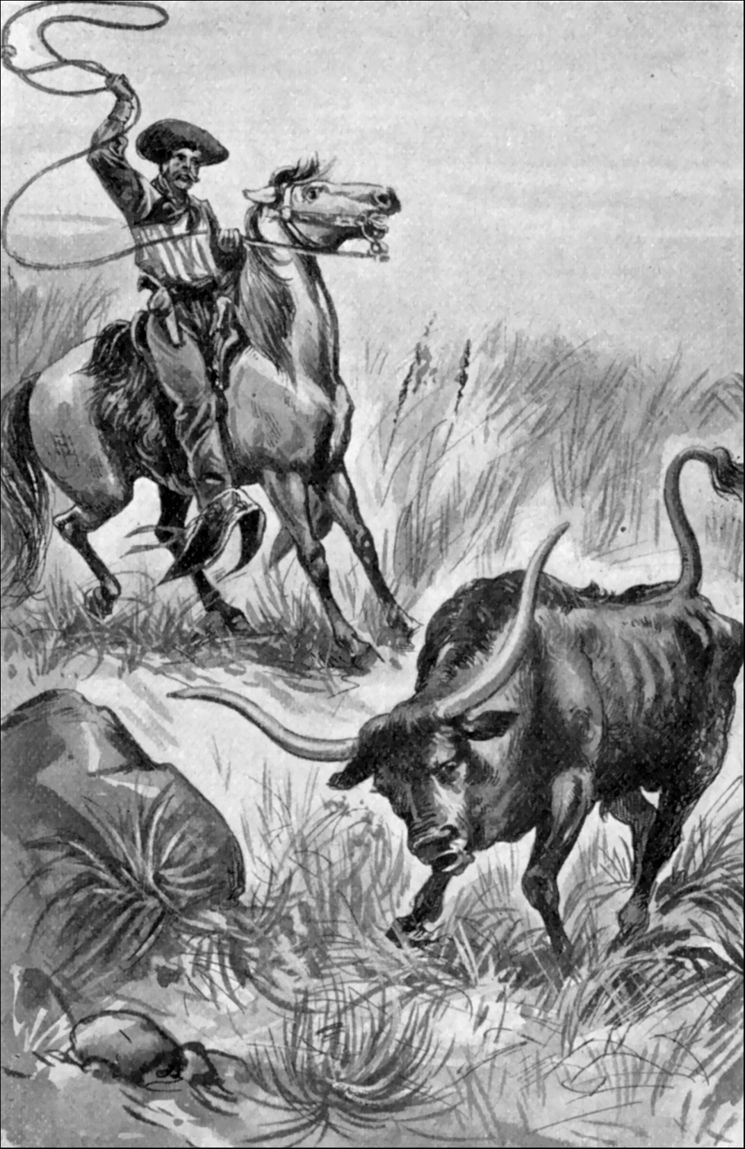 Illustration