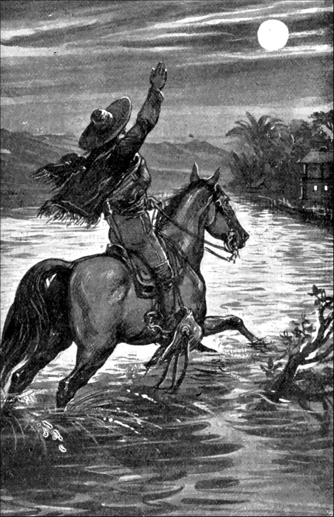 Illustration