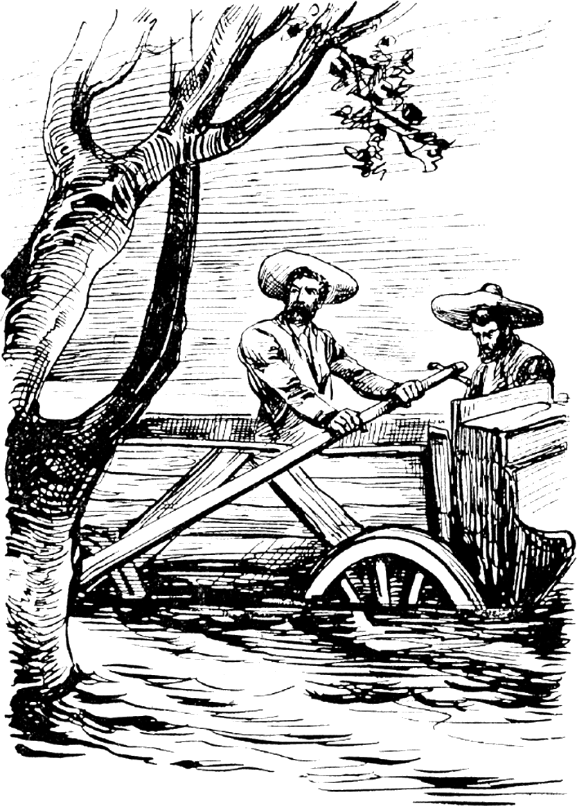 Illustration