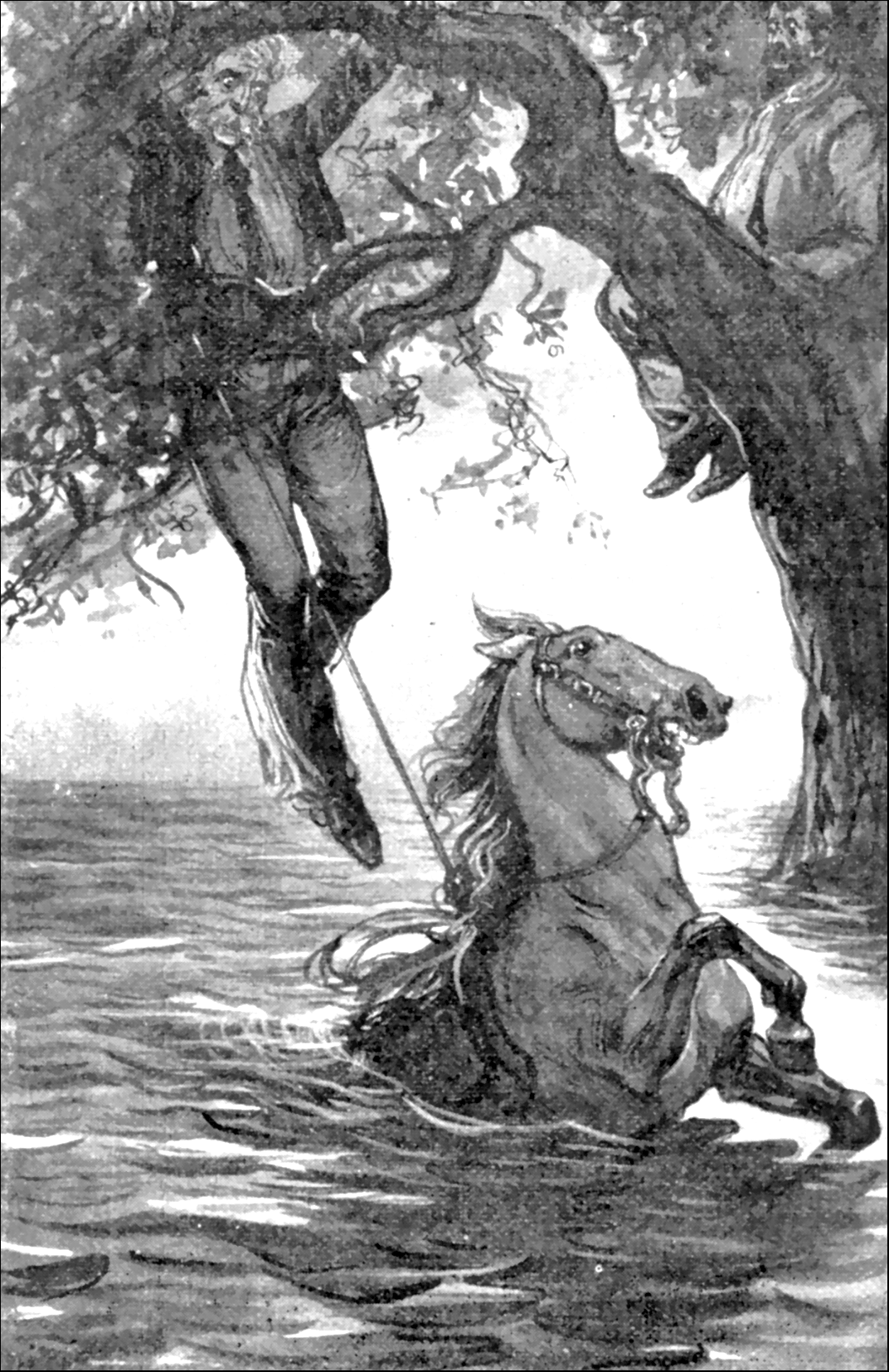 Illustration