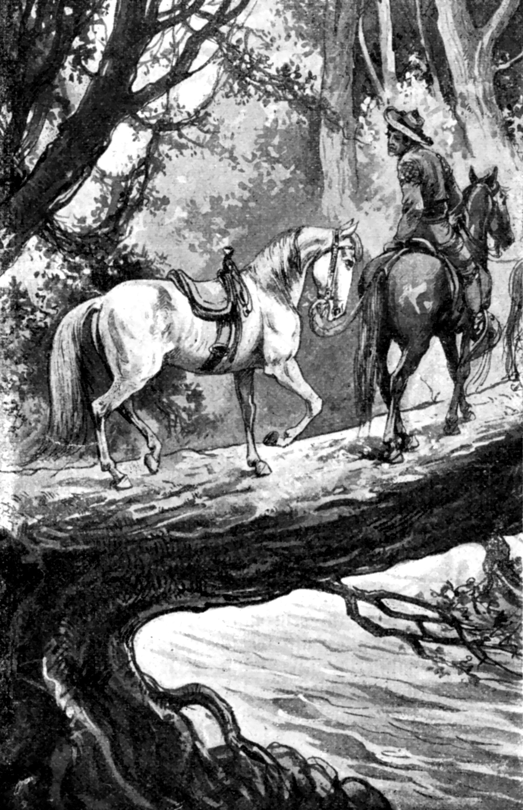 Illustration