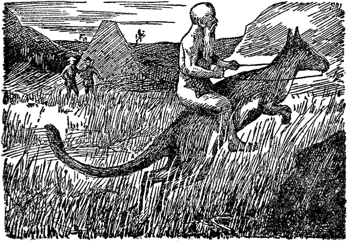 Illustration