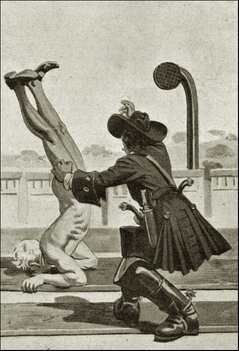 Illustration