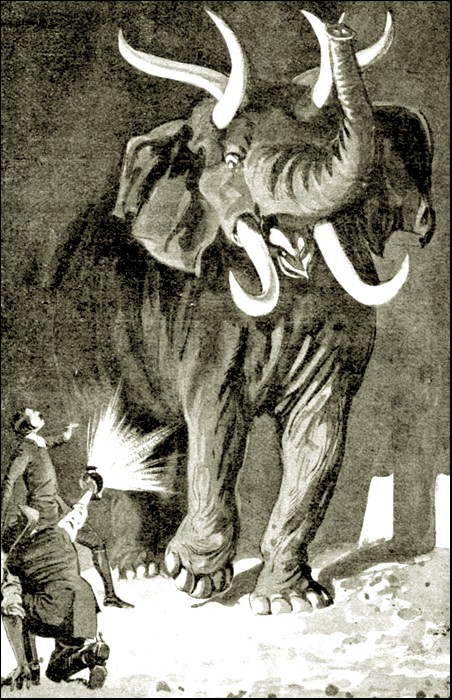 Illustration