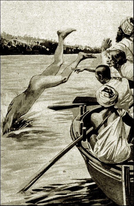 Illustration