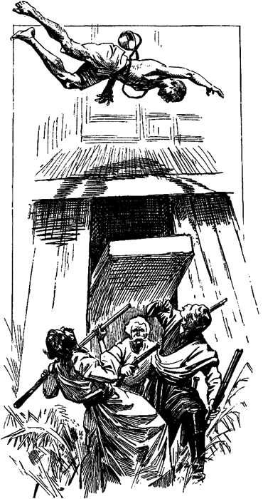 Illustration