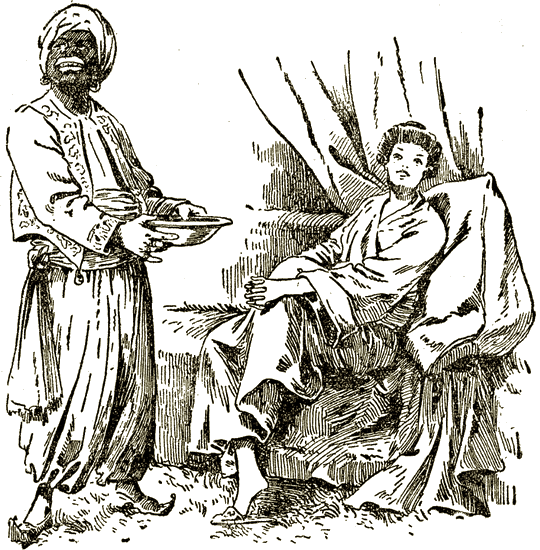 Illustration