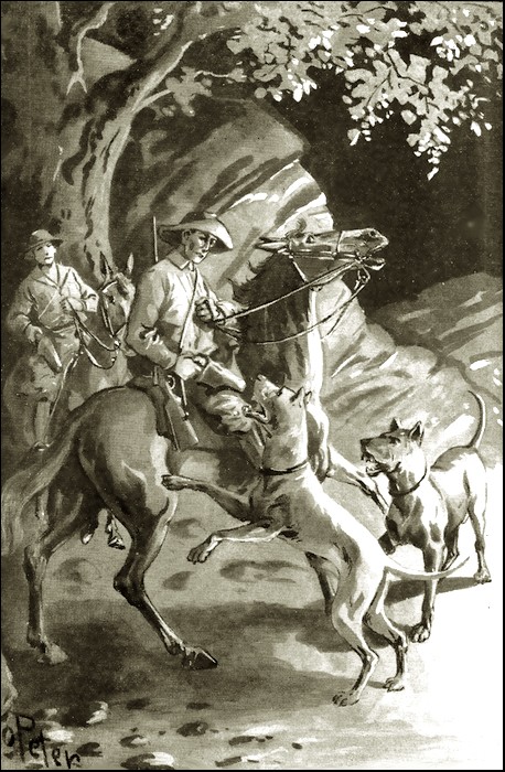 Illustration