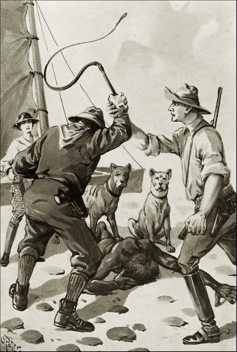 Illustration