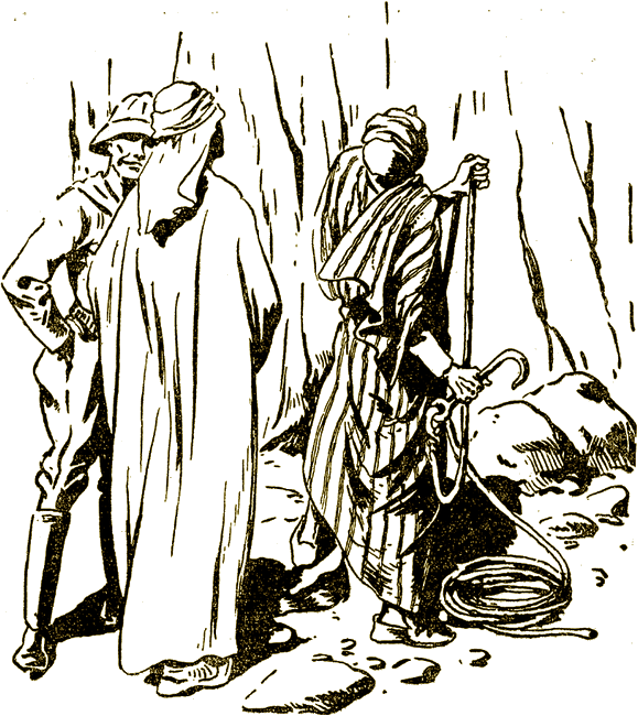 Illustration
