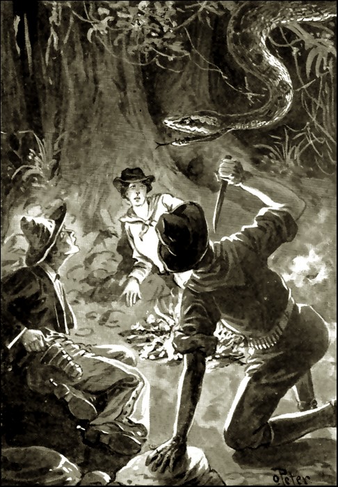Illustration