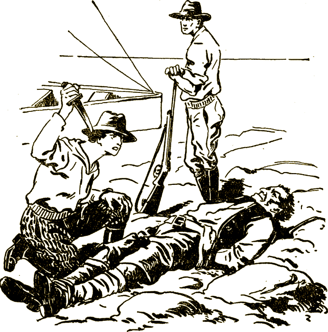 Illustration