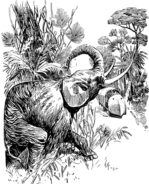 Illustration