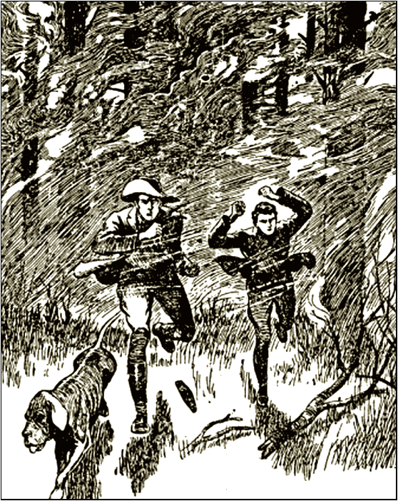 Illustration