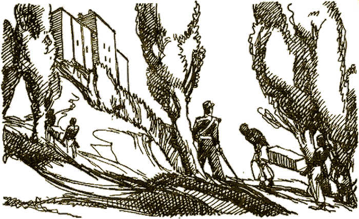 Illustration