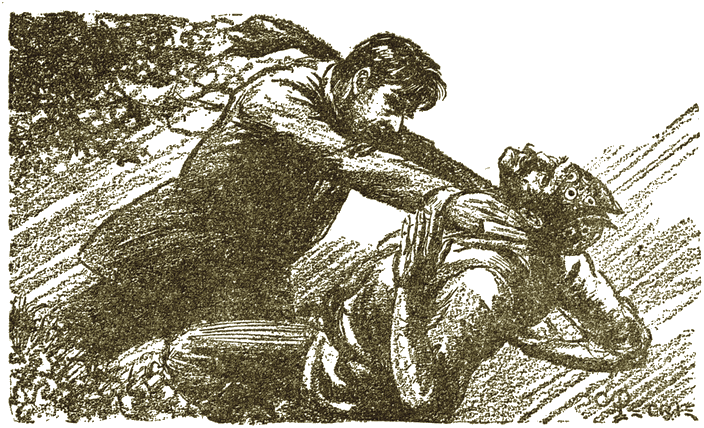 Illustration