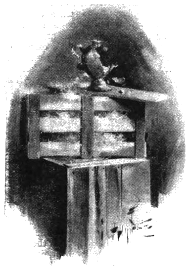 Illustration Illustration