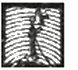 Illustration Illustration