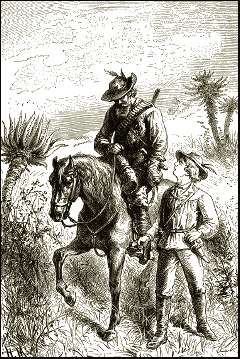 Illustration