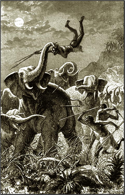 Illustration