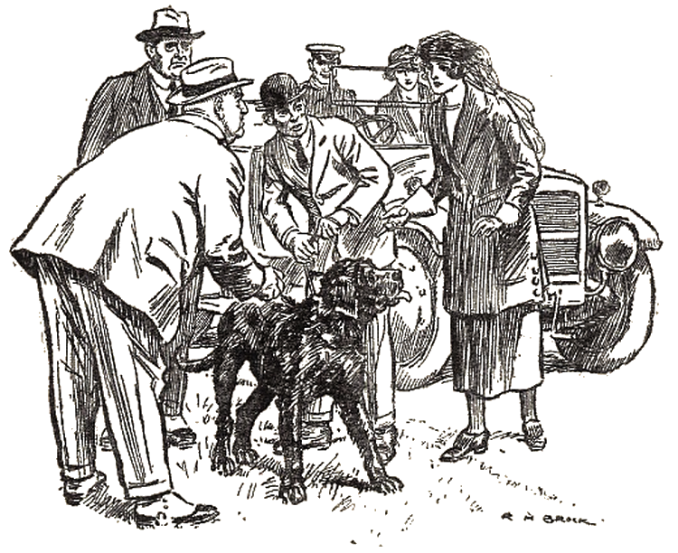 Illustration