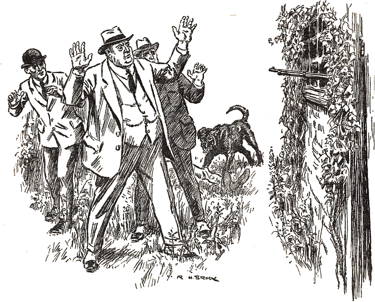 Illustration