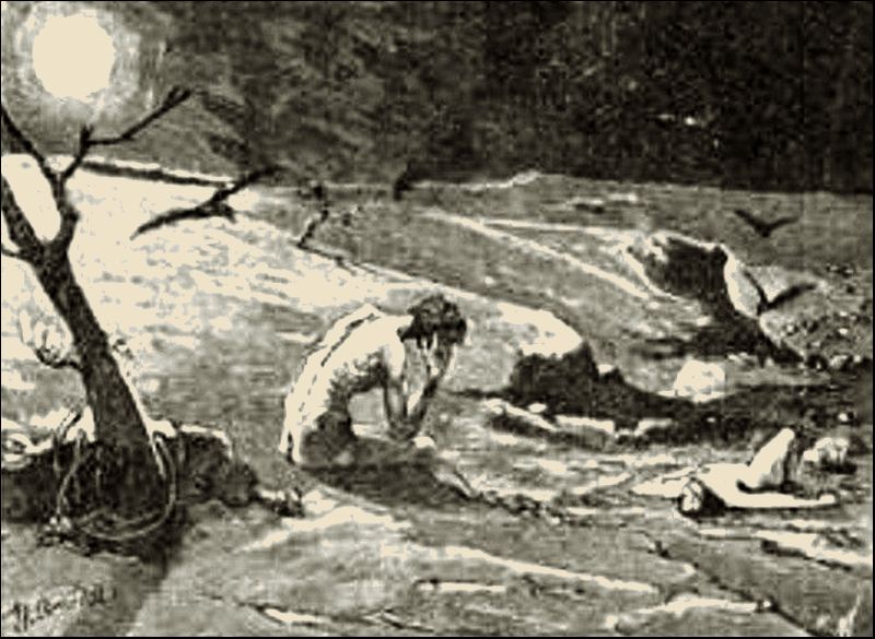 Illustration