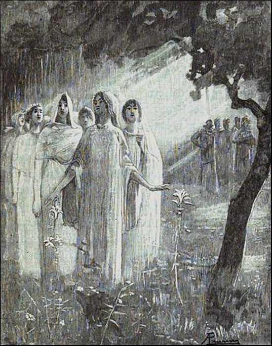 Illustration
