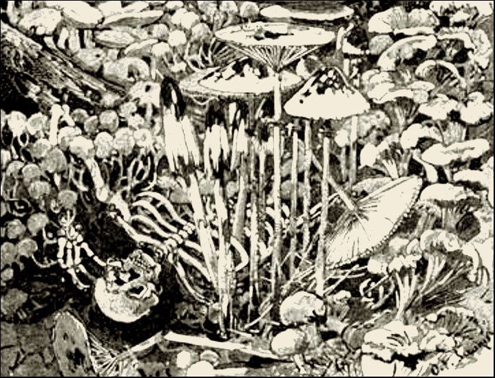 Illustration