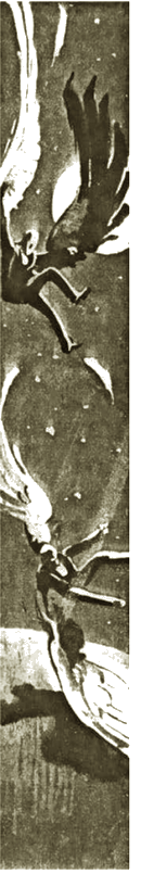 Illustration Illustration