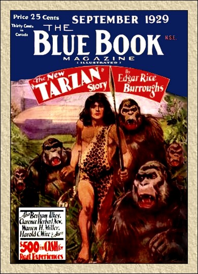 Blue Book Cover