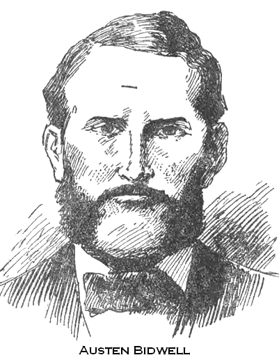Illustration Illustration