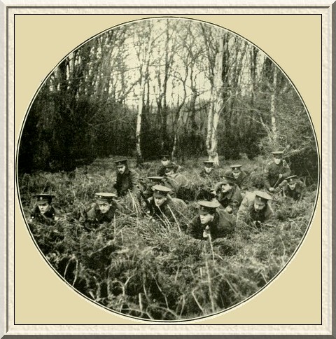 A cautious advance through thick undergrowth.
