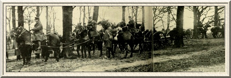 The Honourable Artillery Company at gun practice in the shelter of a
thicket in Richmond Park.