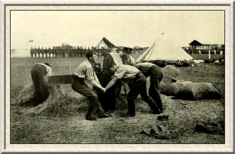 Getting ready the horses' meal: a busy scene at the chaff machine.