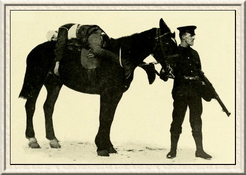How a soldier is removed from the battlefield. His wounds are
bandaged, and he is then securely strapped on to the horse.