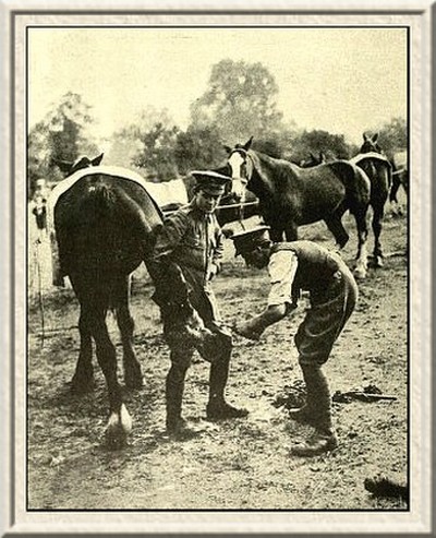 Army farriers at work.