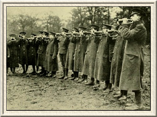 A bugle company, 3rd Queen Victoria's Rifles, practising in Richmond
Park.
