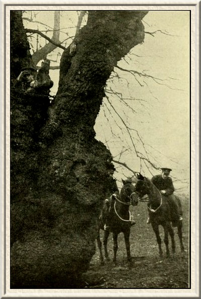 Scouts of the Herts Yeomanry locating the enemy.