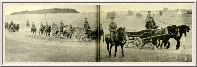 Army Service Corps Section of London Territorials returning to their
camp at Salisbury Plain after bivouacking all night.