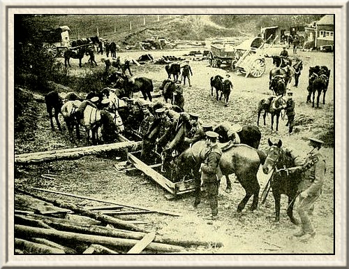 Surrey Yeomanry watering their horses.