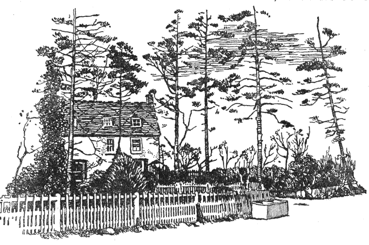 Illustration Illustration