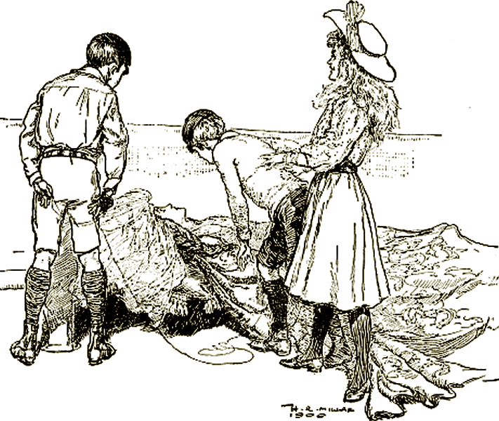 Illustration