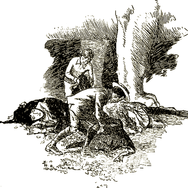 Illustration