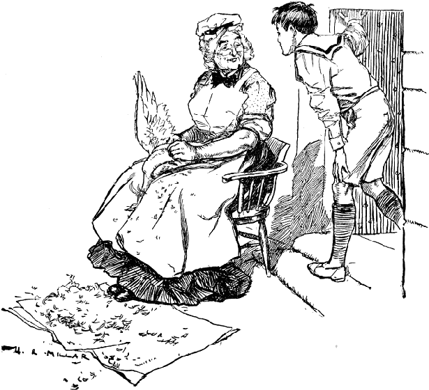 Illustration