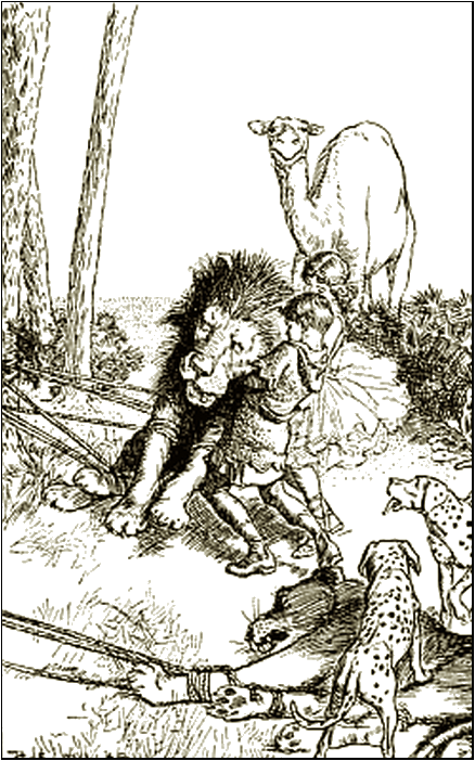 Illustration