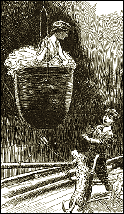 Illustration