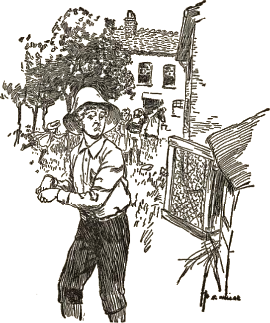 Illustration